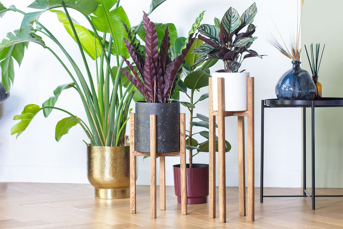 Pots & Care