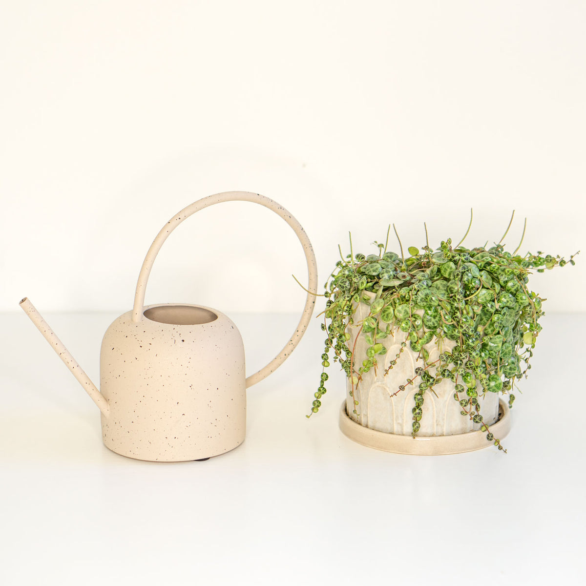 Metal Watering Can