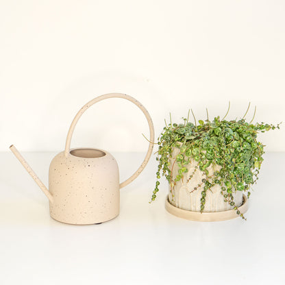 Metal Watering Can