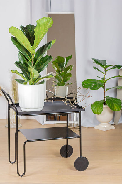 LYF - Smart Planter (White)