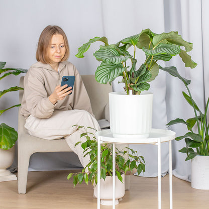LYF - Smart Planter (White)