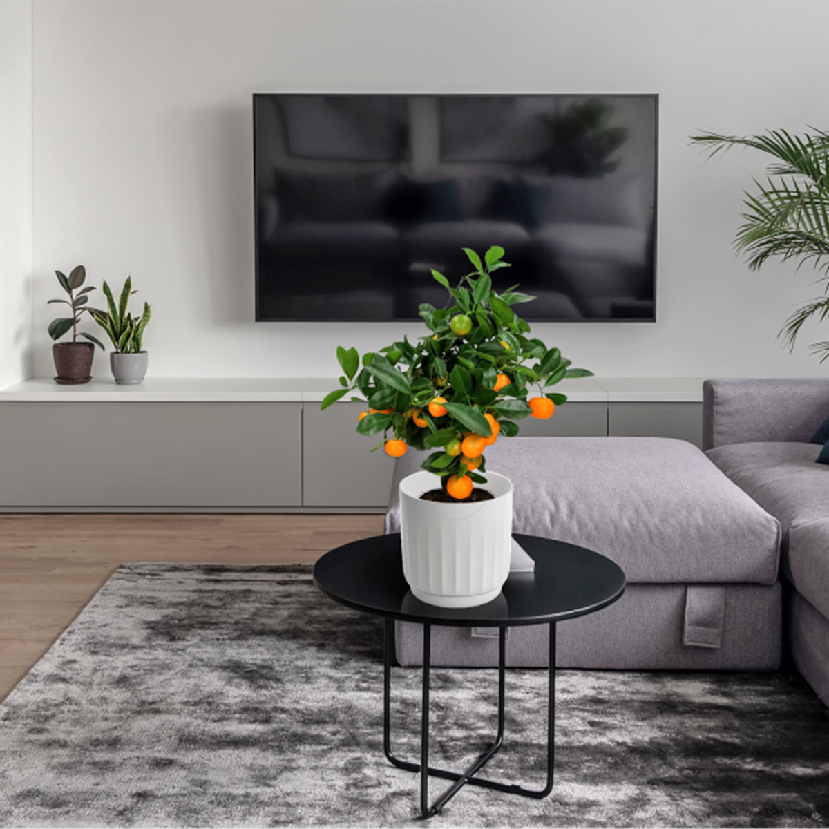 LYF - Smart Planter (White)