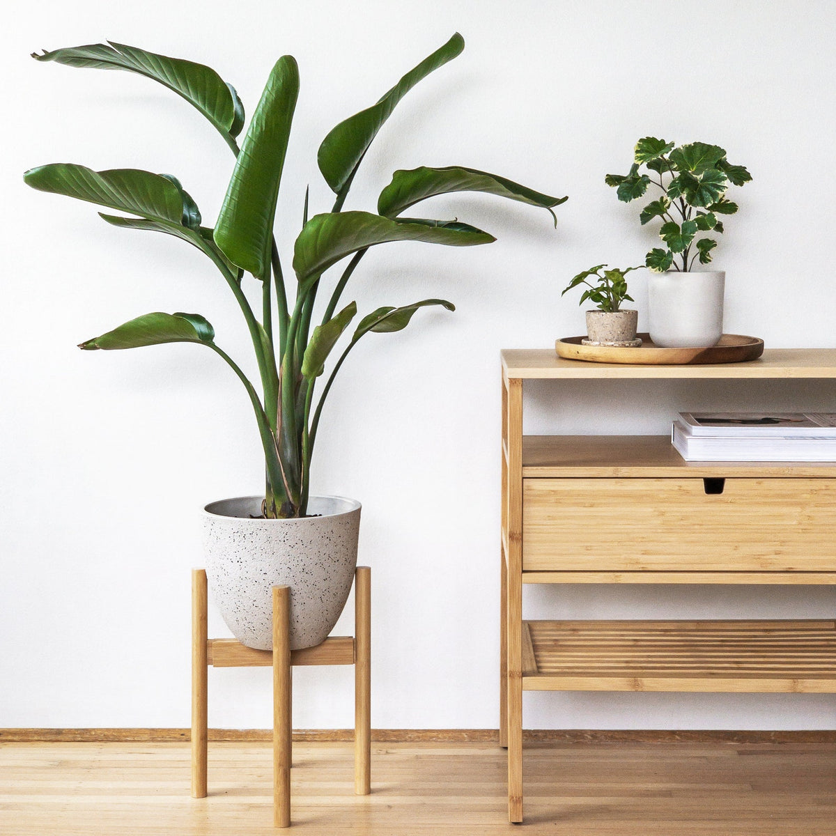 Adjustable Bamboo Plant Stand - Indoor Plant Stand for Delivery